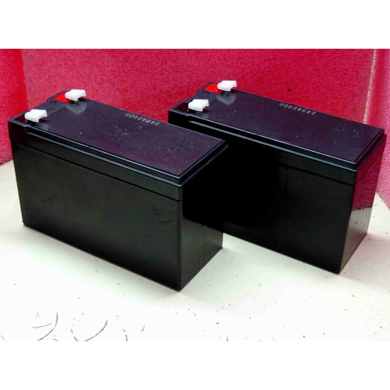[203281579740] Pack 2 Batteries Plomb AGM 12V 7Ah/7.2Ah - Compatible Nitram Elite Pro 800 E