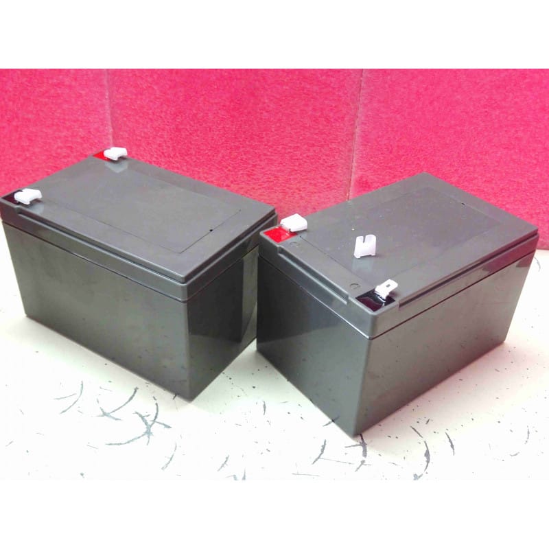 [Bat1000Pro] Pack 2 Batteries Plomb AGM 12V 9Ah - Compatible Nitram Elite Pro 1000 ELCD