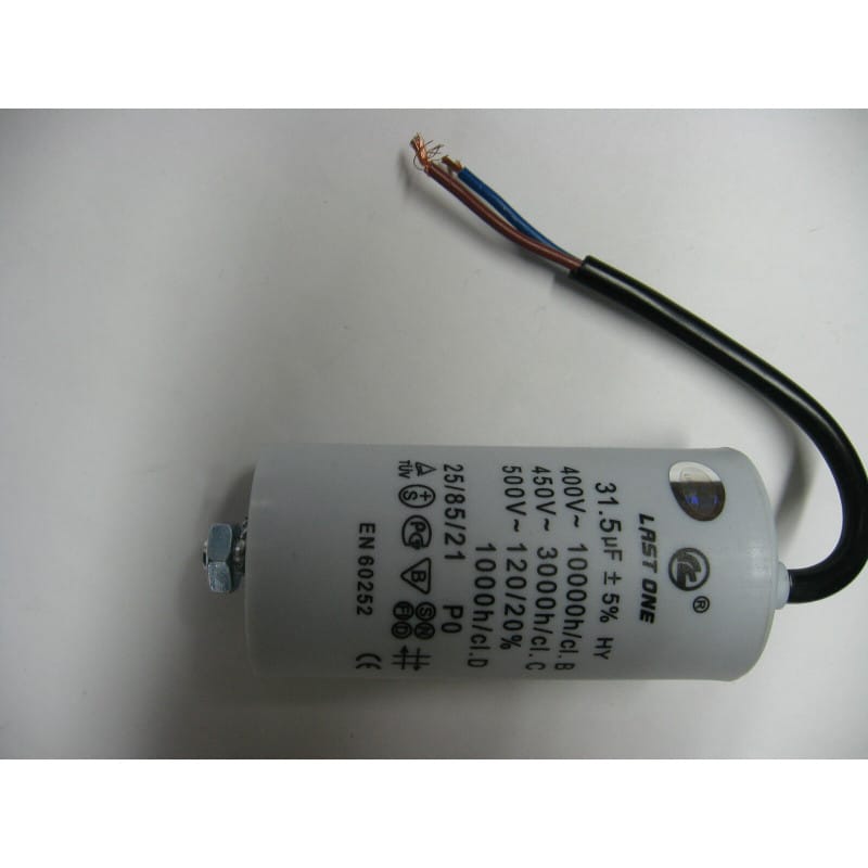 Condensateur Permanent Moteur Ducati 31.5 µF 5% - 450V à Fils pour Machine à Laver, Compresseur & Moteur Électrique