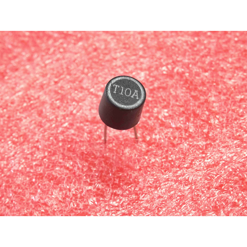 Lot de 5 Microfusibles Radiaux TR5 Temporisés 10 A 250 V – Ø 8x7 mm