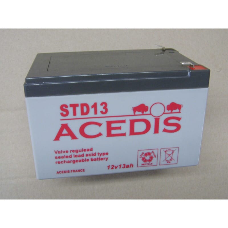 Batterie de Démarrage 12V 13Ah AGM pour Tondeuse Autoportée, Micro-Tracteur et Clôture Électrique