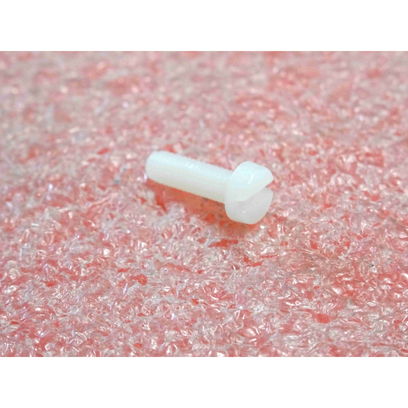 Lot de 50 Vis Isolantes en Nylon M3 x 10 mm Bossard – Tête Cylindrique Fendue DIN 84A / BN1061 Référence 1401203