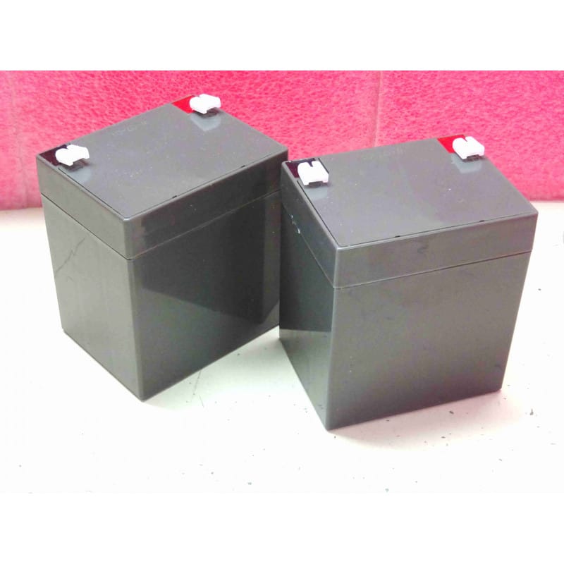 Pack de 2 batteries pour onduleur Nitram BU1000E