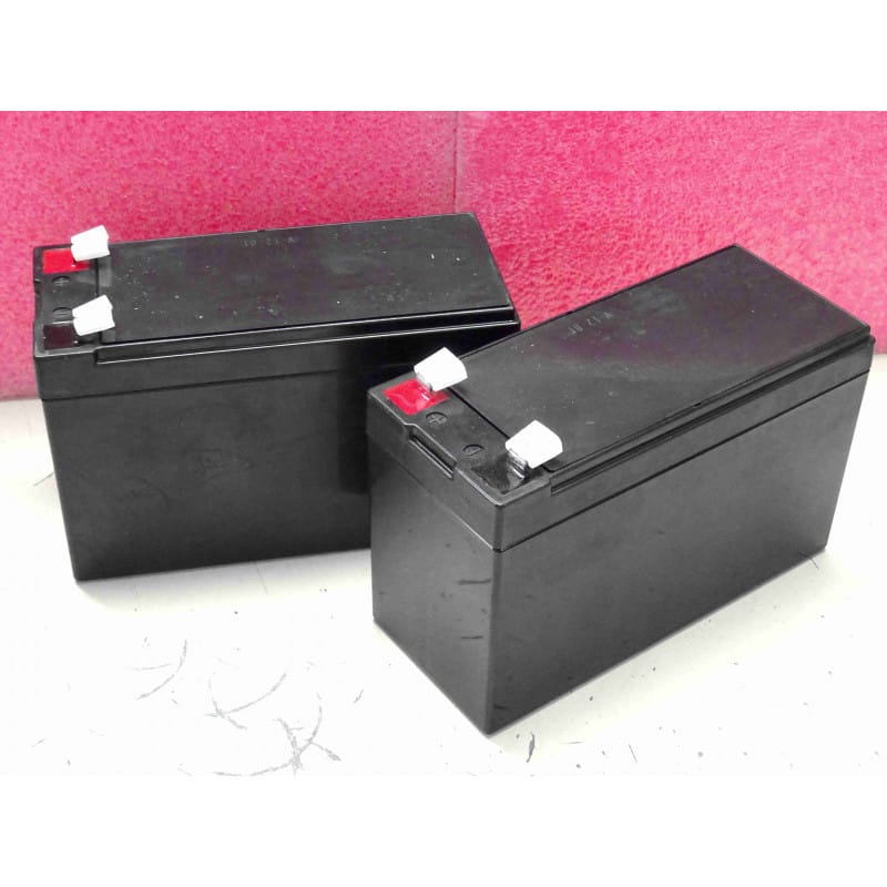 [1200EV] Pack de 2 batteries pour onduleur Nitram Elite Value 1200E