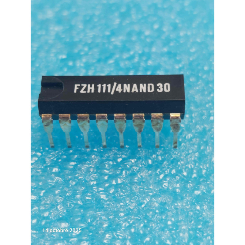 Double Bascule JK à Forte Immunité aux Parasites FZH111