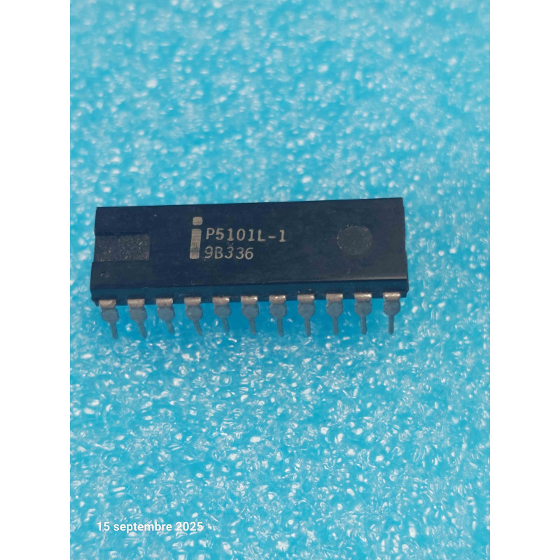 Mémoire RAM Statique CMOS 1024-Bit P5101L-1