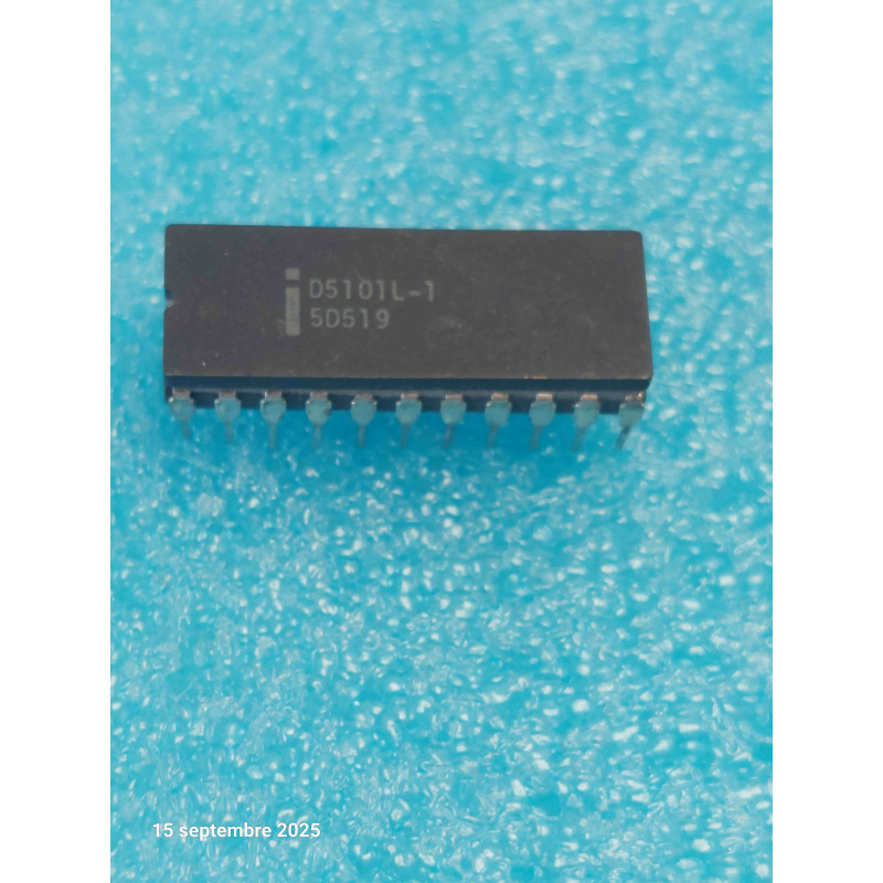 Mémoire RAM Statique CMOS Ultra-Basse Consommation D5101L-1