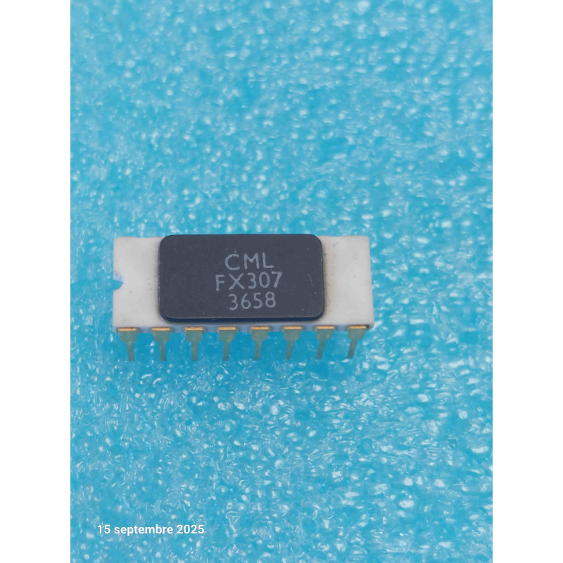 Encodeur/Décodeur de Tonalité Sub-Audio FX307