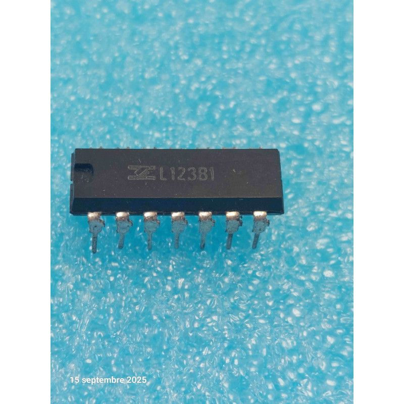 Régulateur de Tension de Précision Vintage L123B1