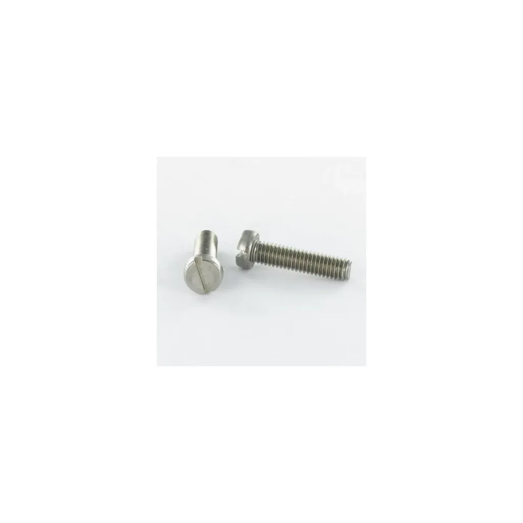 Lot de 400 vis métaux tête cylindrique fendue M3x8 - Inox A4 (DIN 85)