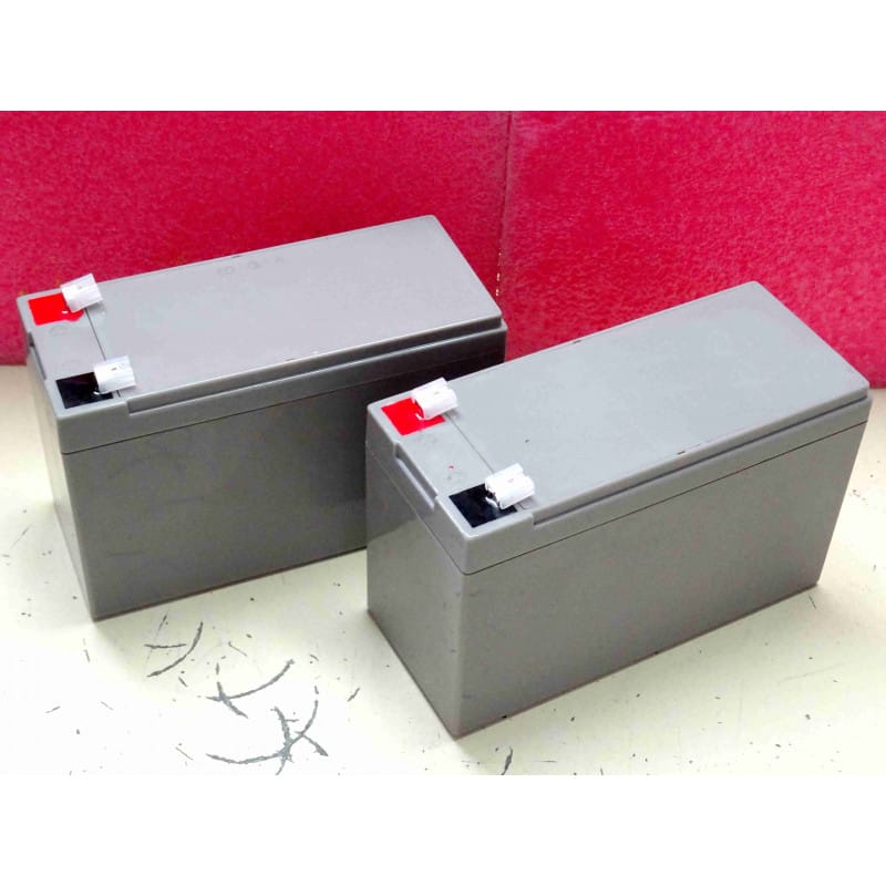 [EcoBatt] Pack de 2 Batteries de Remplacement 12V 7.6Ah pour Onduleur Eaton Ellipse ECO 1600